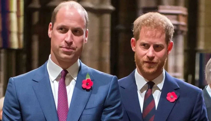 Prince Harry has got poison in his blood against powerful Prince William