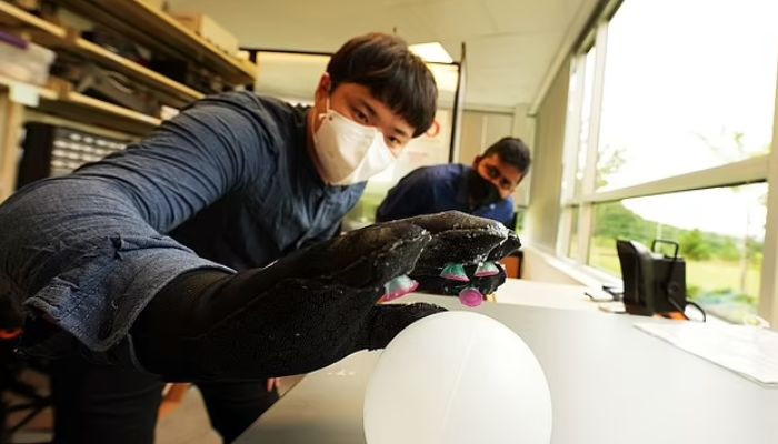 WATCH: Researchers develop octopus-inspired glove that grabs objects underwater - Vimarsana News
