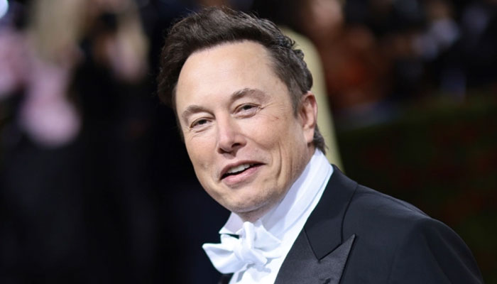 Elon Musk shares good news amid woes