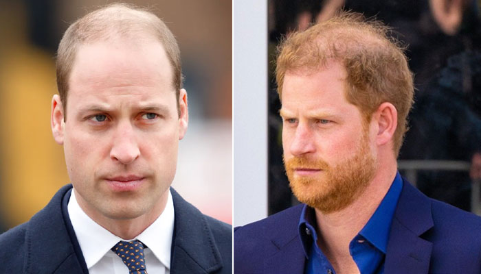 Prince Harry’s memoir release ‘vows’ to destroy Prince William