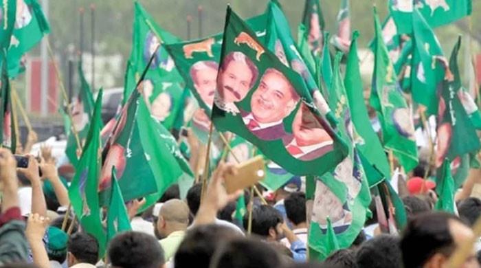 In which constituency could PML-N not win by-polls in past two decades?