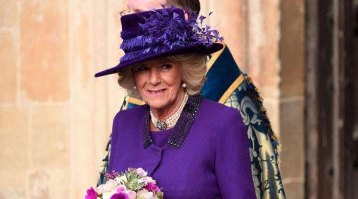 l_428007_064446_updates.jpg