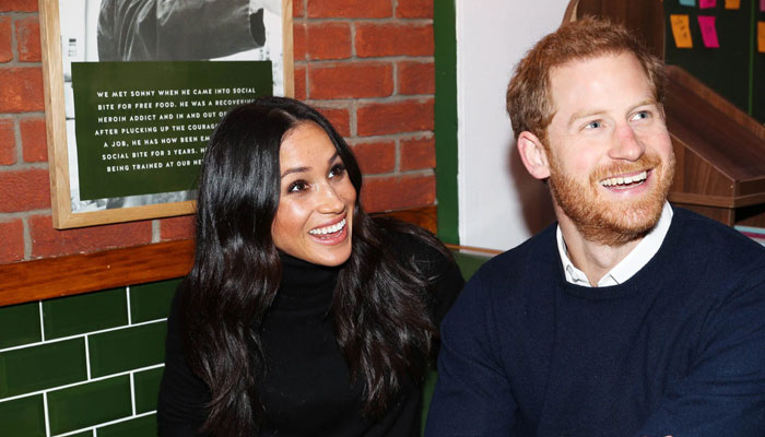 Meghan Markle was hysterical over Palace reaction to she is just Wild about Harry