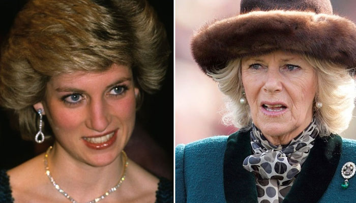 Duchess Camilla has dragged herself out of shadow of Diana’s ghost: Expert