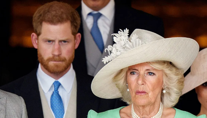Prince Harry has ‘no interest’ in developing relationship with Camilla