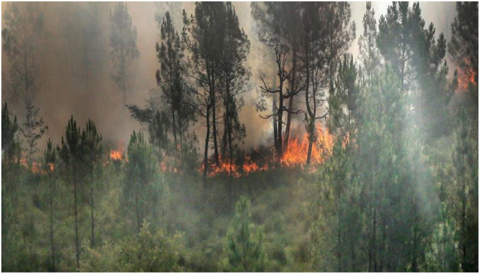 A wildfire burns through vegetation in Landiras, southwestern France, on July 13, 2022. — AFP