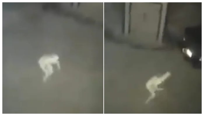 Makhluk pucat menyeramkan yang tertangkap kamera membuat penggemar paranormal menjadi hiruk-pikuk