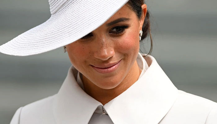 Meghan Markle ‘forced demands’ on media ‘wanted it my way’