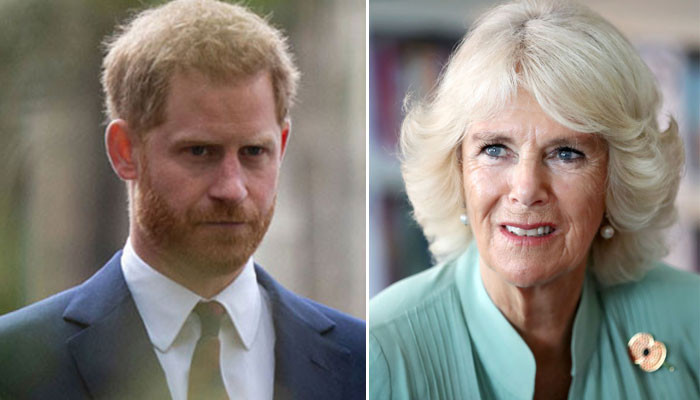 Prince Harry 'has no respect' for stepmom Camilla - Vimarsana News