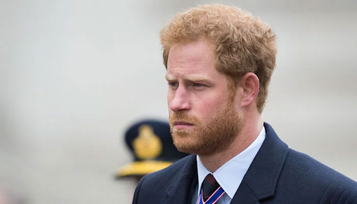 Prince Harry mocked for not working a day as he delivers speech at UN