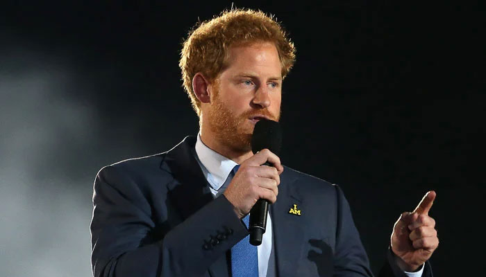 Prince Harry fake UN speech were words of Meghan Markle