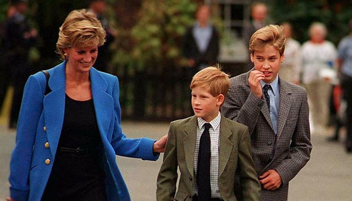 Prince Harry pays touching tribute to mom Princess Diana at UN