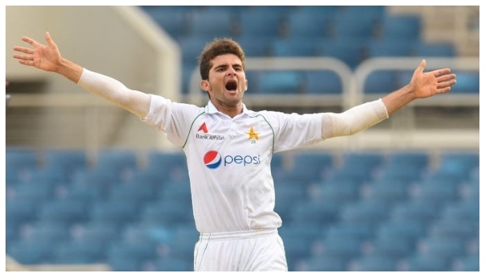 Shaheen Afridi of Pakistan celebrates the dismissal of Kemar Roach of West Indies during the 5th and final day of the 2nd Test between West Indies and Pakistan at Sabina Park on August 24. — AFP