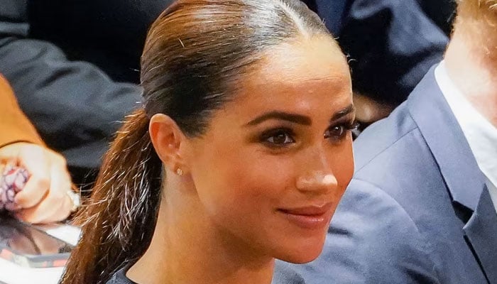 Meghan Markle lauded for teaching Prince Harry upper class pals a lesson