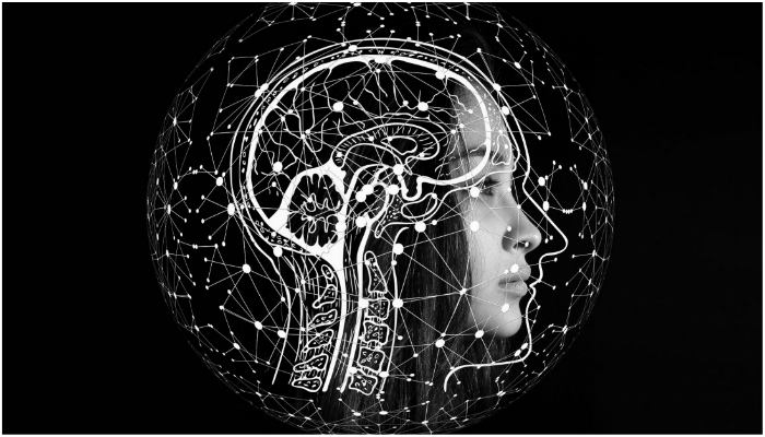 Illustration representing a persons brain.  — Pixabay/ Gerd Altmann