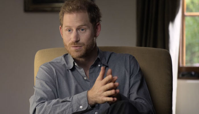 Prince Harry knew his damnation of Royal family would widen the rift