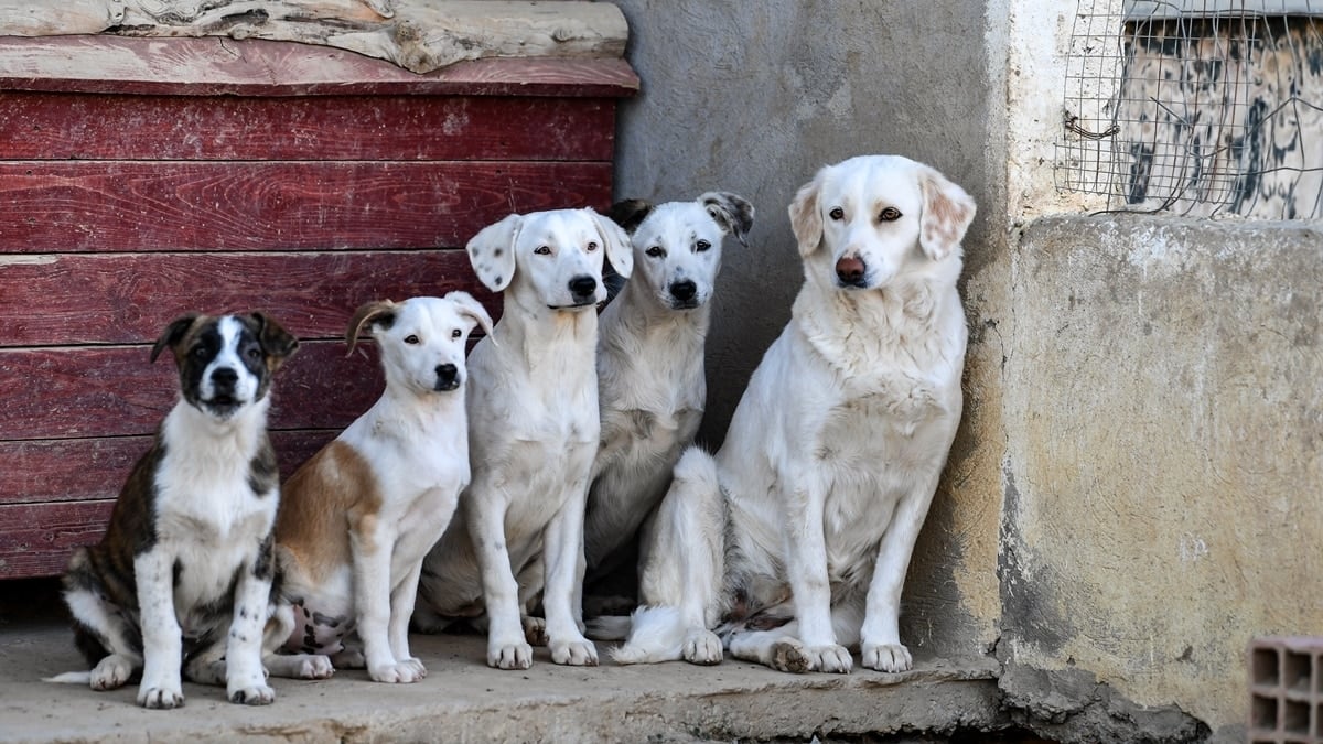 Representational image. — AFP/File