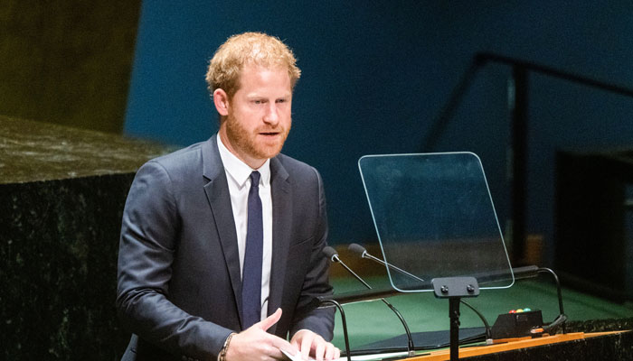 Clunking Prince Harry was a reminder of his colonising roots at UN