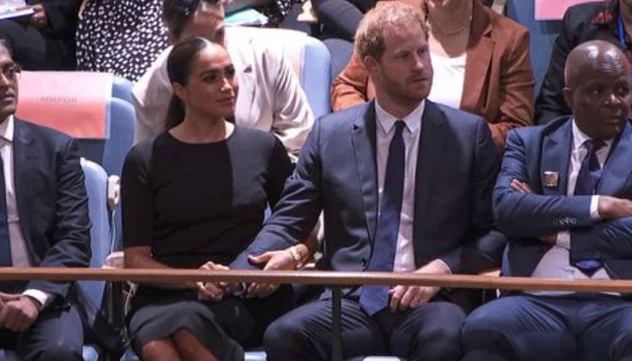 Prince Harry, Meghan Markle genuine gesture at UN wins hearts: True love