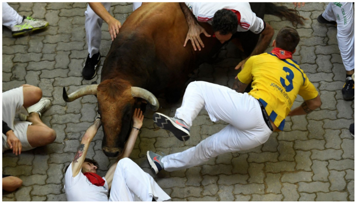 Participants grapple against a Jose Cebada Gago bull during the fifth encierro (bull run) of the San Fermin Festival in Pamplona, northern Spain on July 11, 2022. — AFP Photo