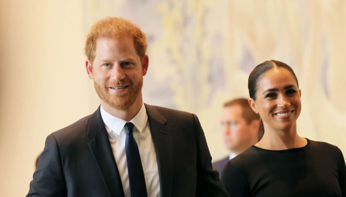 Prince Harry is dividing US after harming UK with doom-laden remarks