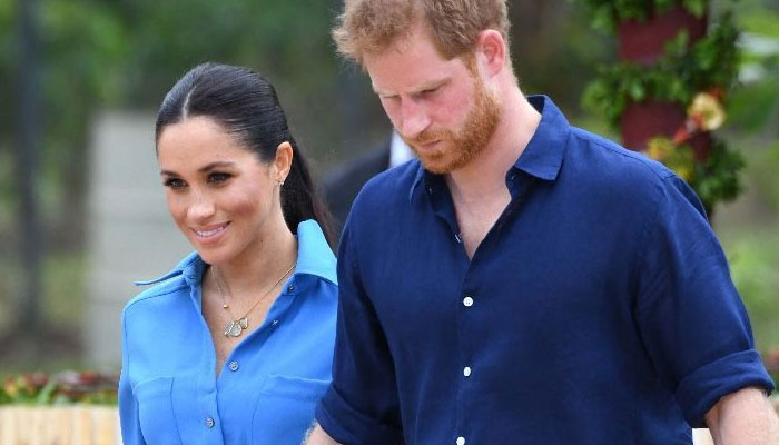 Prince Harry, Meghan Markle feared they ‘had a mole’ in friend group