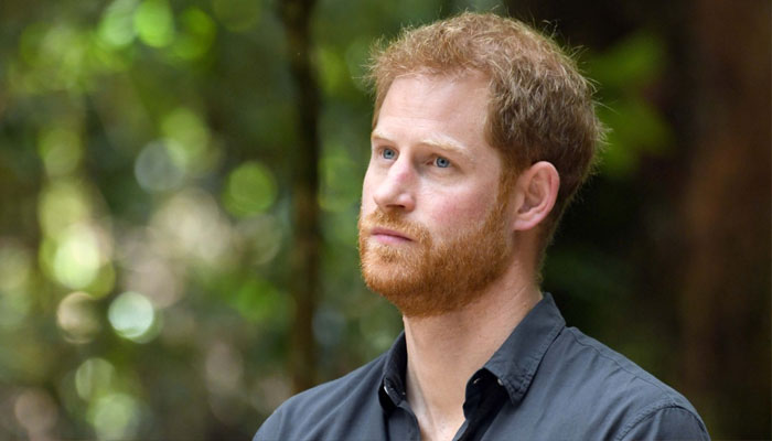 ‘Poor’ Prince Harry ‘paid for letting cameras’ in his kitchen