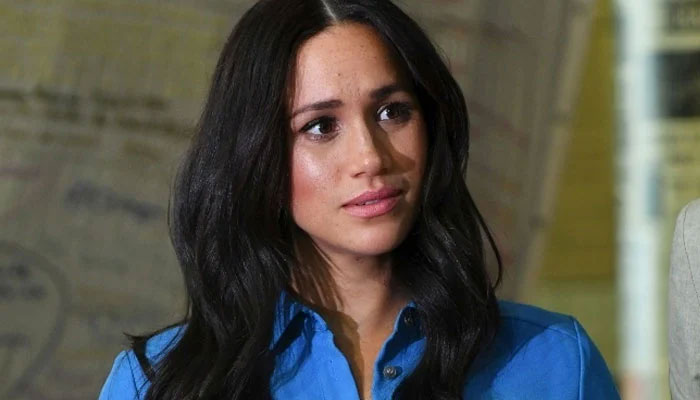 Meghan Markle has ‘ruthless ability to ‘make people afraid’