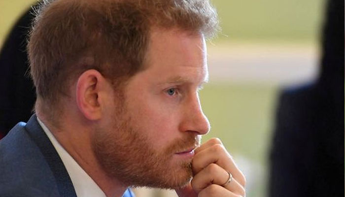 ‘Rich’ Prince Harry wants to ‘smear the cake over our face’