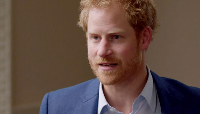 Prince Harry’s security call a ‘dramatic waste of money and ego’