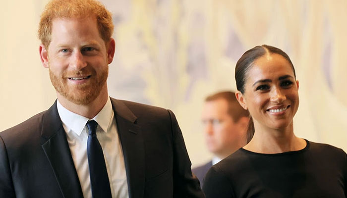Meghan Markle, Prince Harry ‘wiping out Firm’ with ‘woke’ plots