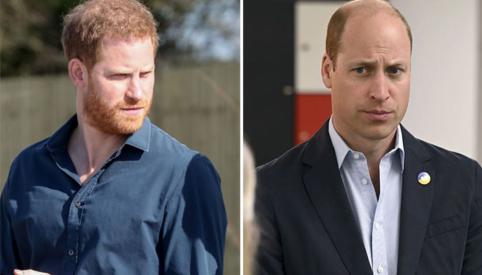 Prince William’s ‘grieving’ Prince Harry in ‘angry rage: report