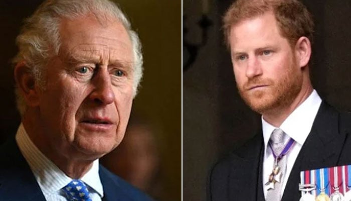 ‘Tattltale’ Prince Harry accused of leaking Prince Charles ‘dirty cash scandal’
