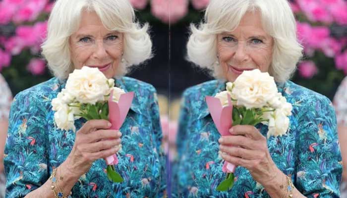 Camilla puts on stylish display as she enjoys outing with Prince Charles