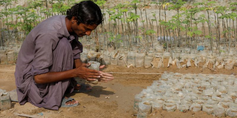 A worker prepares planting bags for seedling plants, to be used for urban forest projects, at the Sindh Forestry Public Nursery in Karachi, Pakistan, May 25, 2021. Karachi is a sprawling port city of some 17 million people, where breakneck expansion of roads and buildings means there is less and less space for trees and parkland. REUTERS