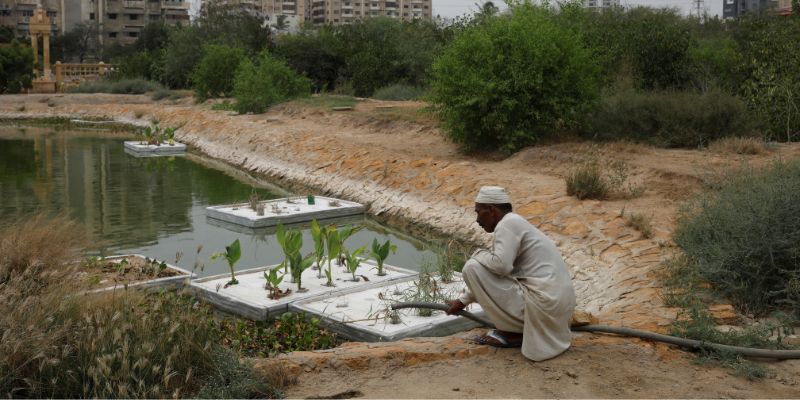 Mulazim Hussain, 61, a farmer at the urban forest plantation project, waters plants near the reservoir at the Clifton Urban Forest project in Karachi, Pakistan July 2, 2022. I have raised these plants like my children over the last four years, he said.REUTERS