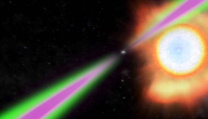 A spinning neutron star periodically swings its radio (green) and gamma-ray (magenta) beams past Earth in this artists concept of a black widow pulsar. The pulsar heats the facing side of its stellar partner to temperatures twice as hot as the suns surface and slowly evaporates it.—Reuters