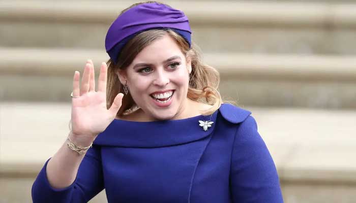 Prince Andrews daughter Princess Beatrice sparked private security row before Harry