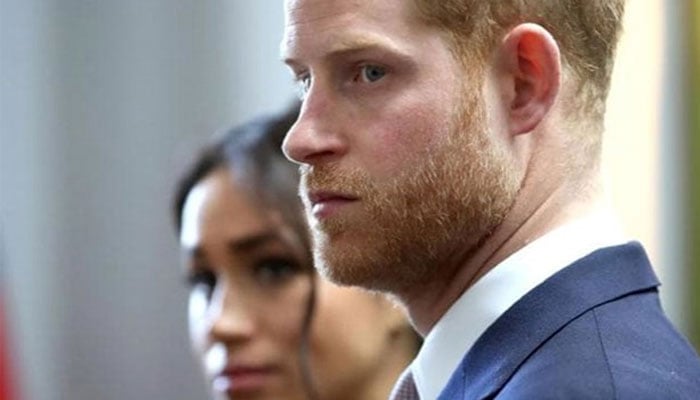Meghan Markle, Prince Harry ‘royal bait’ ridiculed’: ‘Firm has sharp teeth’