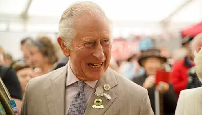 Prince Charles’ donations from Bin Ladens ‘risked degrading monarchy’