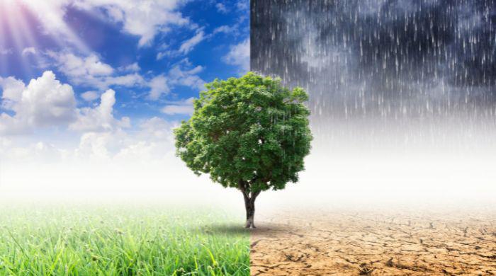 Heatwaves, rains, floods: Climate change is here and Pakistan needs to act now