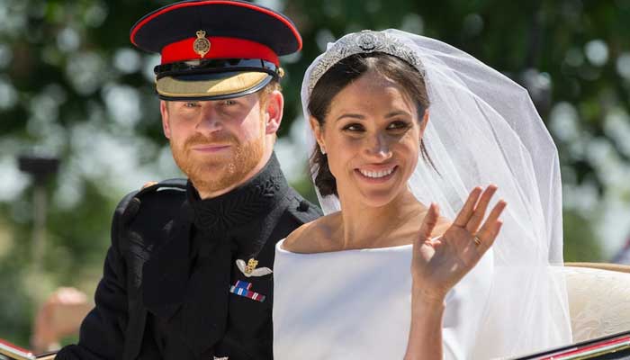 Meghan Markle married Prince Harry to get spotlight and title