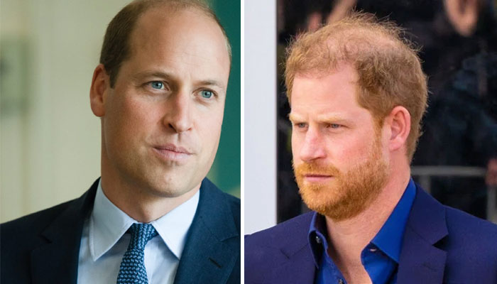 Prince William ‘firewall’ for Firm against Prince Harry, Meghan Markle