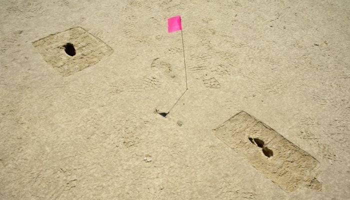 Two of the ghost footprints uncovered in Utahs Great Salt Lake Desert. — US Air Force