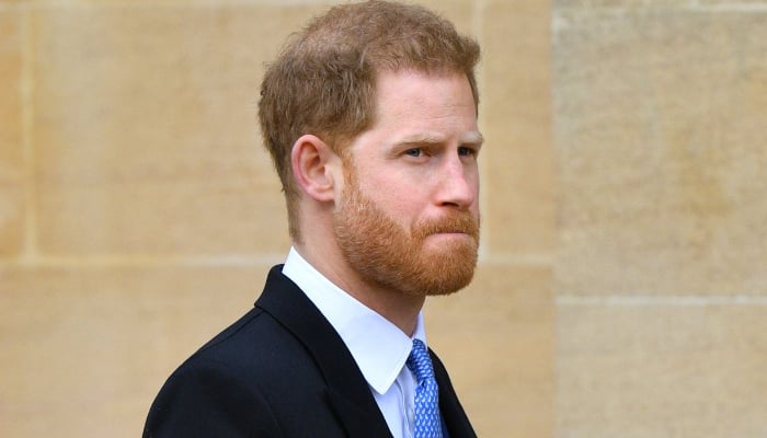 Princess Dianas friend thinks Prince Harry might end up scrapping his memoir