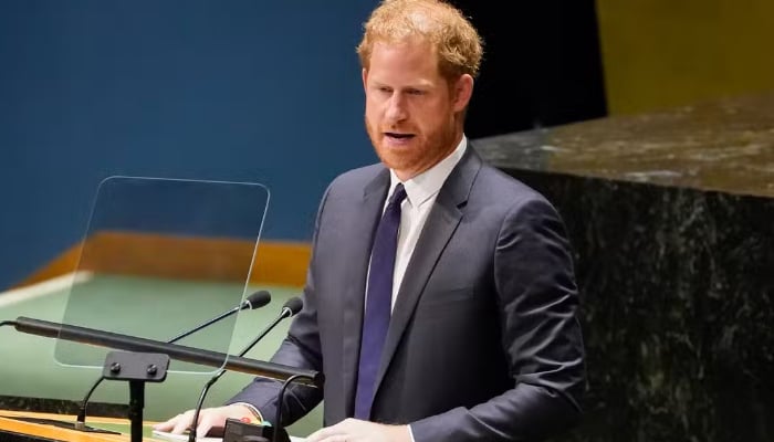 Prince Harry made his way to the UN last month to deliver a speech, however, was met with empty seats