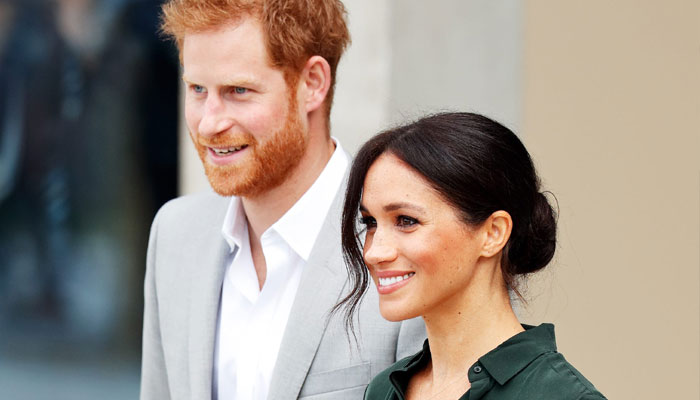 Obscure’ Meghan Markle ‘craves the big time’ and ‘along came Prince Harry’