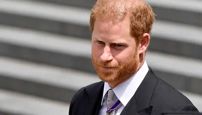 Prince Harry ‘can’t have it all’ but ‘was never denied’: report