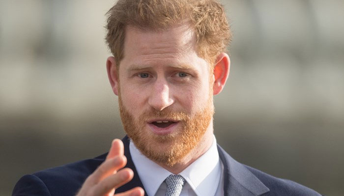 Prince Harry ‘infuriating’ insulted police chef with security lawsuit