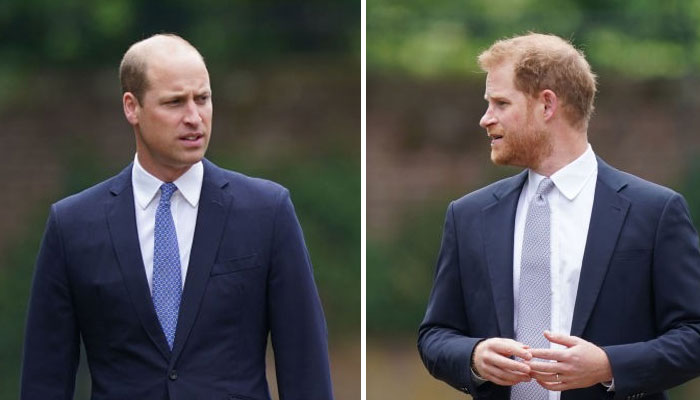 Prince Harry’s royal future ‘put’ in Prince William’s hands: ‘Must decide’